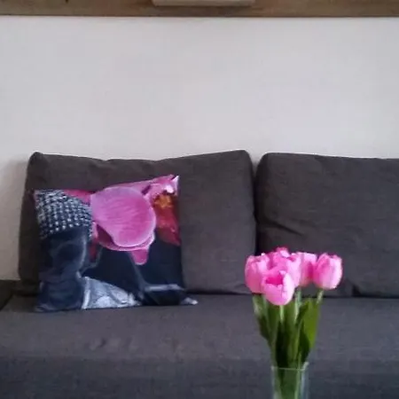 Fichtenweg 43-4 * Winterberg